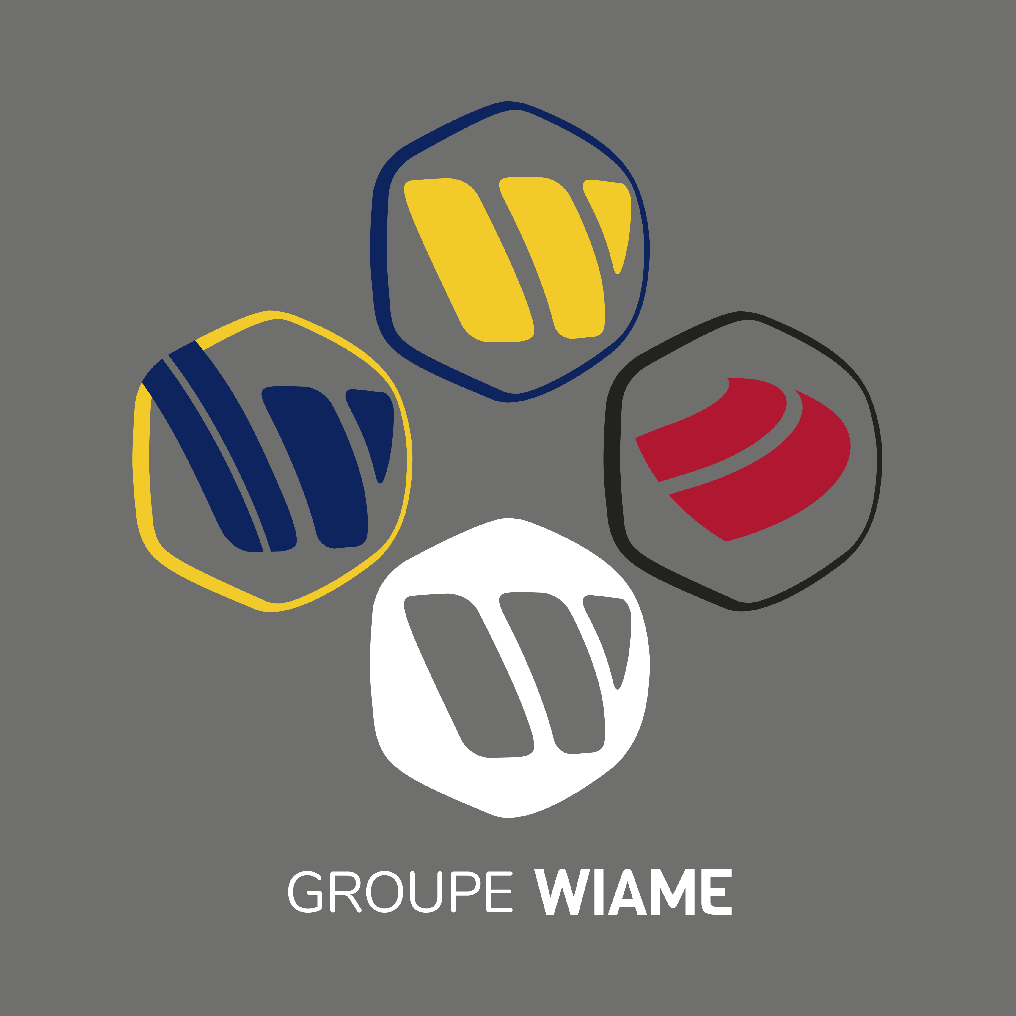GROUPE WIAME